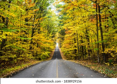 Beautiful Autumn Forest Endless Road