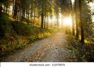 Beautiful autumn forest mountain path at sunset - Shutterstock ID 111970076