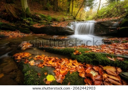 Beautiful autumn forest in the mountains