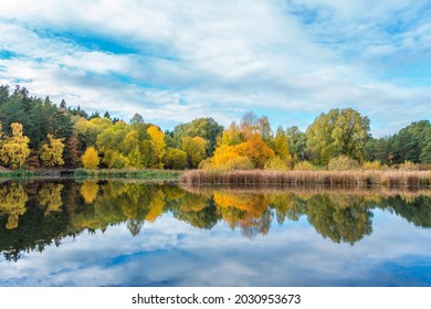 Beautiful autumn landscape with bright pine, aspen, birch forest and calm lake on sunny day. Autumnal lake shore with forest under the blue sky. Colorful fall foliage reflecting on surface of water. - Shutterstock ID 2030953673