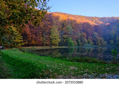 A Beautiful Autumn Landscape With Colorful Trees In Papuk Nature Park In Croatia