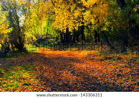 Similar – Image, Stock Photo autumn 1 Human being