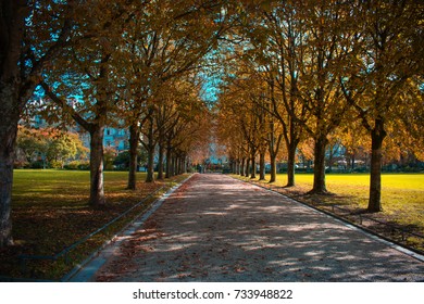 Beautiful autumn landscape at the morning park - Shutterstock ID 733948822