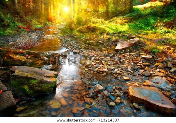 Beautiful Autumn Landscape Mountain River Forest Stock Photo Edit Now