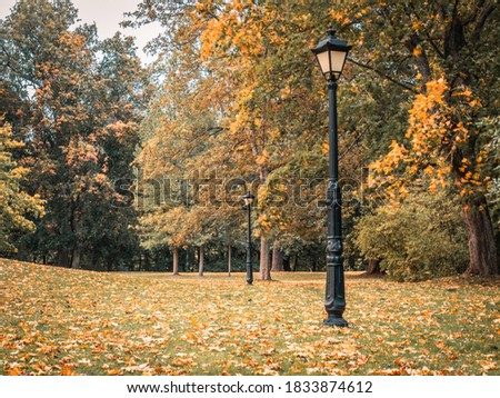 Beautiful Autumn Landscape With Old Fashion Lamp, Vintage Street Light, Falling Leaves, and Yellow Trees. Colorful Foliage in the Park
