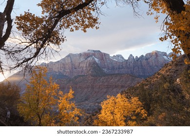 Beautiful Autumn landscape scenery view at Zion National Park, Utah, USA. No people, Red canyon  Frame autumn scenery. - Shutterstock ID 2367233987