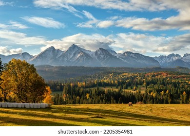 Beautiful Autumn Landscape Of Tatry Mountains