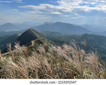 Beautiful Autumn landscape at Wan Kuk Shan (MacLehose Trail Section 4), Ma On Shan, Hong Kong - Shutterstock ID 2219292547