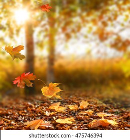 Leaves Falling From Tree High Res Stock Images Shutterstock