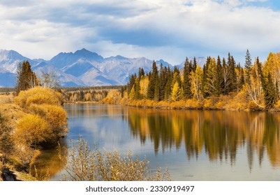 A beautiful autumn landscape with yellowed trees on banks of Irkut River and Eastern Sayan mountain range in the distance. Natural seasonal background. Baikal region, Buryatia, Tunka foothill valley