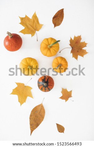 Similar – Autumn still life with pumpkin and leaves