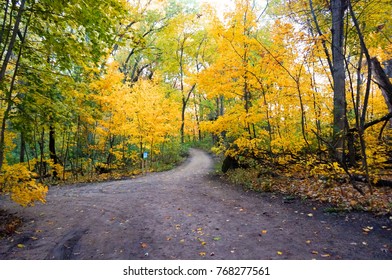 Beautiful Autumn Leaves With Beautiful Fall Foliage With The Red Brown And Yellow Shade In Madison Wisconsin USA Showing The Winter Is Coming That The Seasons Start To Change.