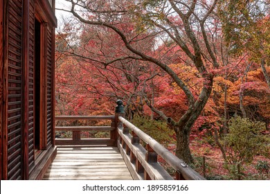秋の景色 の画像 写真素材 ベクター画像 Shutterstock