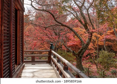 秋の景色 High Res Stock Images Shutterstock