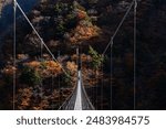 Beautiful autumn leaves and suspension bridge