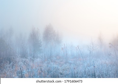 Beautiful autumn misty sunrise landscape. November foggy morning and hoary frost at scenic high grass meadow.