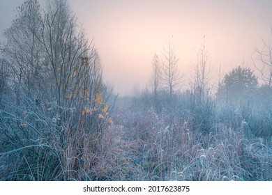 Beautiful autumn misty sunrise landscape. November foggy morning and hoary frost at scenic high grass meadow. - Shutterstock ID 2017623875