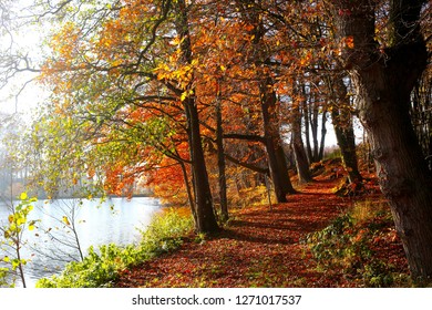 Beautiful Autumn Mood Stock Photo 1271017537 | Shutterstock