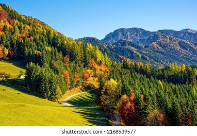 Beautiful autumn in the mountain forest. Autumn mountain forest landscape. Autumn mountain panorama. Autumn in mountains - Shutterstock ID 2168539577
