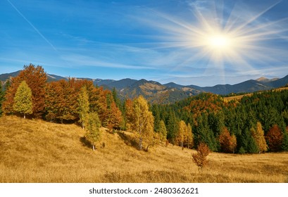 Beautiful autumn in the mountain forest. Autumn mountain trees in fall scenery - Powered by Shutterstock