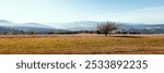 Beautiful autumn mountain landscape. View of Lake Czorsztyńskie and the Tatra Mountains. A lonely tree in the foreground. Viewpoint.
Czorsztyn, Poland