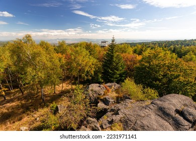 Beautiful autumn in the ore mountains, Czechia - Shutterstock ID 2231971141