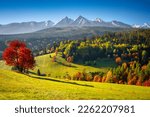 Beautiful autumn with a red and yellow trees under the Tatra Mountains at sunrise. Slovakia