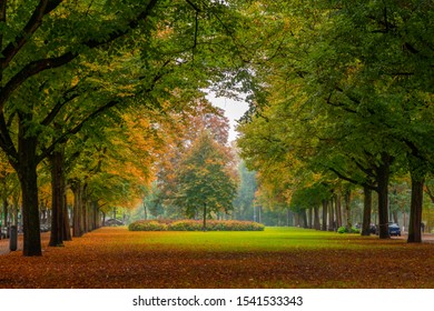 Beautiful Autumn Scene In Rotterdam City Park, Netherlands. Landscape