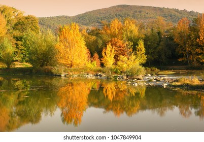 Beautiful Autumn scene with yellow trees near a river.