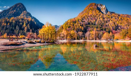 Beautiful autumn scenery. Fallen red beech leaf floats on the calm surface of the lake water. Sunny morning view of Jasna lake. Wonderful autumn scene of Julian Alps, Slovenia, Europe. 