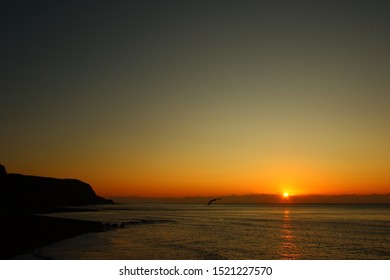 A Beautiful, Autumn Sunrise With Flying Seagull In Hastings, UK.