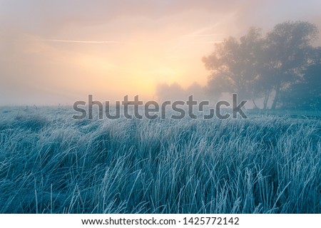 Beautiful autumn sunrise over cold foggy meadow. Textured grass foreground with hoar frost. October dawn.