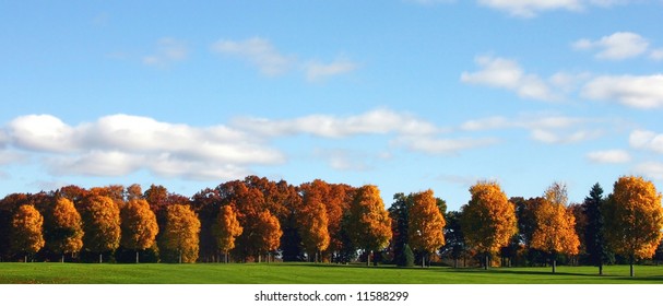 Beautiful Autumn Treeline With Blue Sky And Puffy Clouds