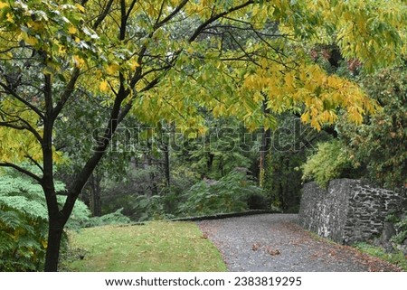 Beautiful Autumn Trees, Path in Sleepy Hollow Cemetery, New York Nature