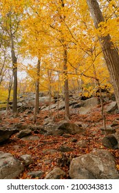 Beautiful Autumn View In Bear Mountain State Park