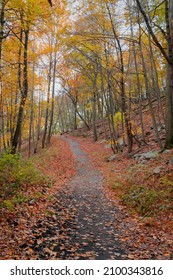 Beautiful Autumn View In Bear Mountain State Park