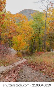 Beautiful Autumn View In Bear Mountain State Park