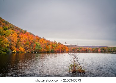 Beautiful Autumn View In Bear Mountain State Park