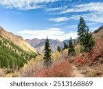 Beautiful autumn views in Cottonwood Canyon, Utah