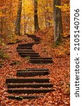 Beautiful autumnal forest scene with the winding steps of a footpath leading between mighty old beech trees with autumn colored foliage, Hohenstein Nature Reserve, Süntel, Weser Uplands, Germany