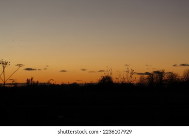 A beautiful autumnal landscape image, depicting a sun setting behind a bare tree at the forest. The sun can be seen behind the clouds. - Powered by Shutterstock