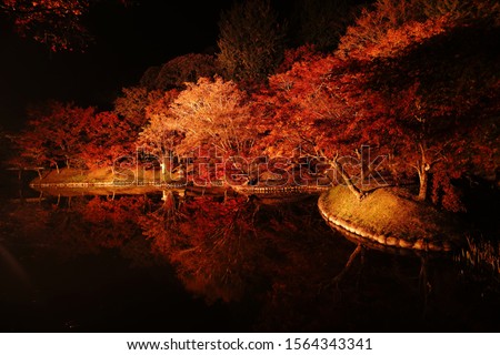 Similar – Red Trees Nacht Baum