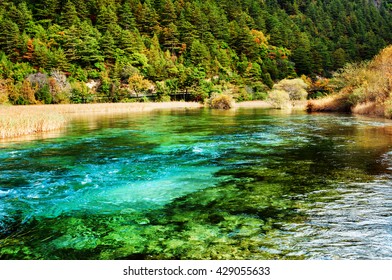 Crystal Clear Rivers Hd Stock Images Shutterstock