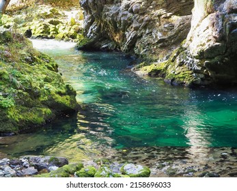 The Beautiful Azure River Surrounded By Rocks In The Blejski Vintgar, Vintgar Gorge