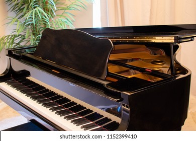 Beautiful Baby Grand Piano In A Comfortable Home