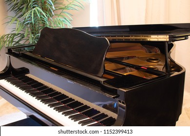 Beautiful Baby Grand Piano In A Comfortable Home