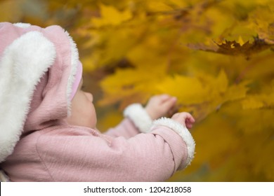 Beautiful Baby In A Pink Bunny Suit Stretches To The Leaves On The Tree. Autumn Day Of A Small Child