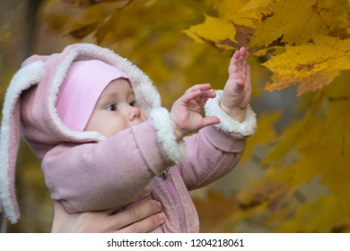 Beautiful Baby In A Pink Bunny Suit Stretches To The Leaves On The Tree. Autumn Day Of A Small Child