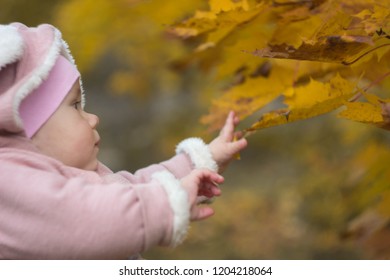 Beautiful Baby In A Pink Bunny Suit Stretches To The Leaves On The Tree. Autumn Day Of A Small Child