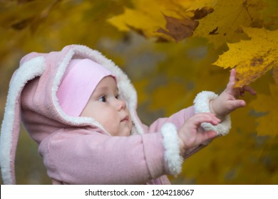 Beautiful Baby In A Pink Bunny Suit Stretches To The Leaves On The Tree. Autumn Day Of A Small Child